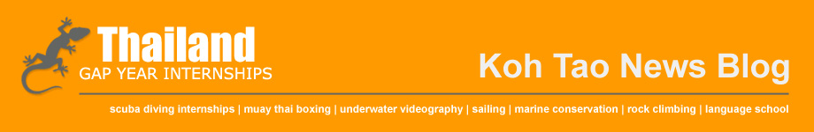 Gap Year Thailand News Rotating Header Image